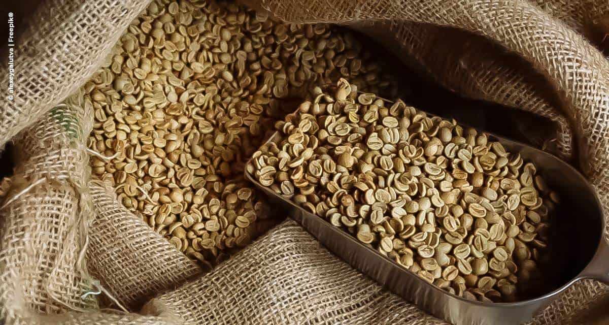 Brasil bate recorde histórico para o mês com exportação de 3,8 milhões de sacas de café em setembro