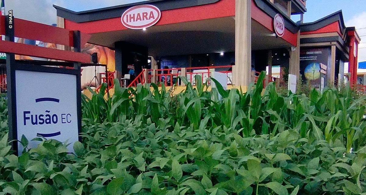 Nova linha de herbicidas da IHARA contribui para o aumento da produtividade  e rentabilidade