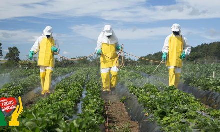 Produtores de hortaliças e frutas precisam se atentar ao uso correto de defensivos