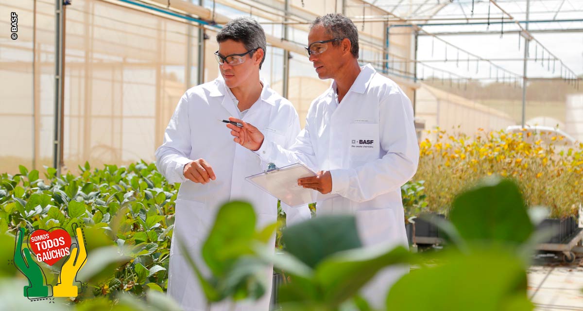 BASF lança linha de bioadjuvantes que aumenta a eficiência de defensivos biológicos
