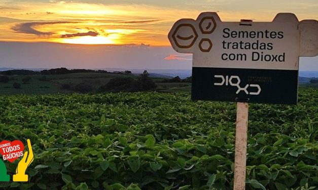 Tratamento de sementes com CO2 aumenta produtividade no cultivo de soja e feijão