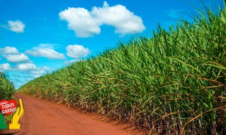 Tecnologia da Dow para o controle de espuma na fermentação da cana-de-açúcar contribui na eficiência da produção nacional de etanol
