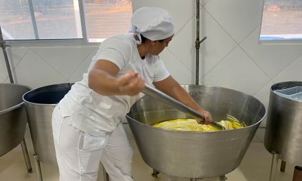 Com legado centenário, produtora de queijos no sertão do Rio Grande do Norte se destaca por produção sustentável