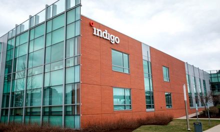 Indigo Ag anuncia venda recorde de créditos de carbono à Microsoft