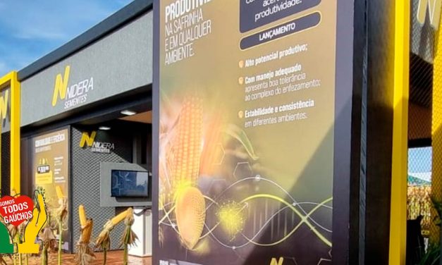 Tecnologia e inovação: Nidera Sementes leva à Bahia Farm Show as novidades de seu portifólio de alto potencial produtivo