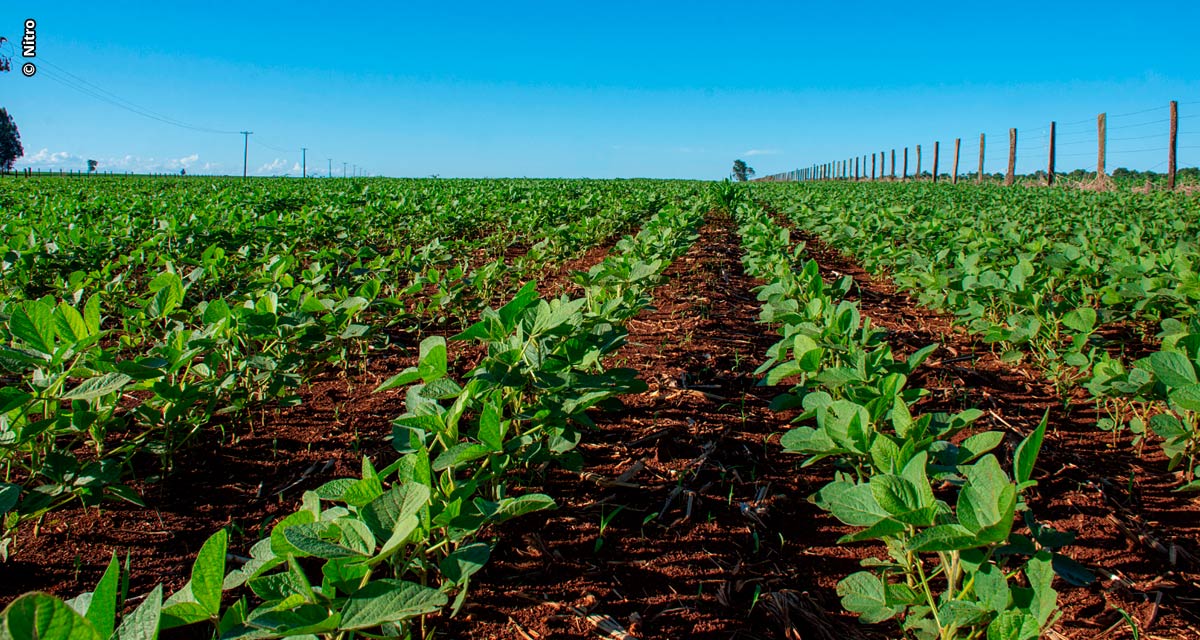 Aplicação de insumos via sulco de plantio pode aumentar a rentabilidade do produtor na safra 2024/25