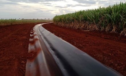 Avanço das geomembranas eleva  sustentabilidade no setor sucroenergético