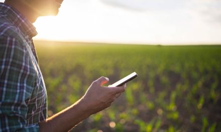 Produtores rurais brasileiros migram para compras online na hora de adquirir insumos agrícolas