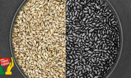Qualidade do tratamento de sementes forrageiras e sua influência na produtividade e lucratividade da pastagem