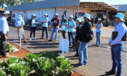 Encontro Técnico da Agristar reúne mais de 160 profissionais para treinamento comercial