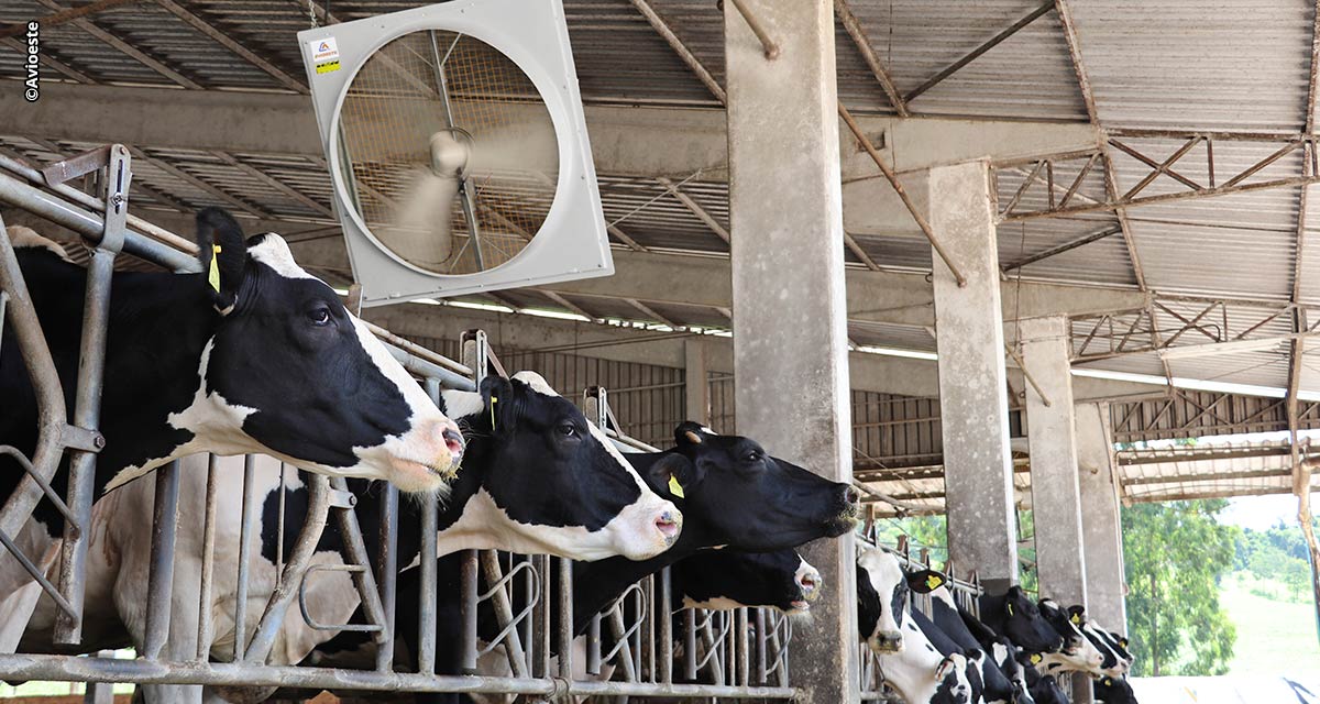 Agroleite marca estreia da Corti Avioeste na pecuária leiteira