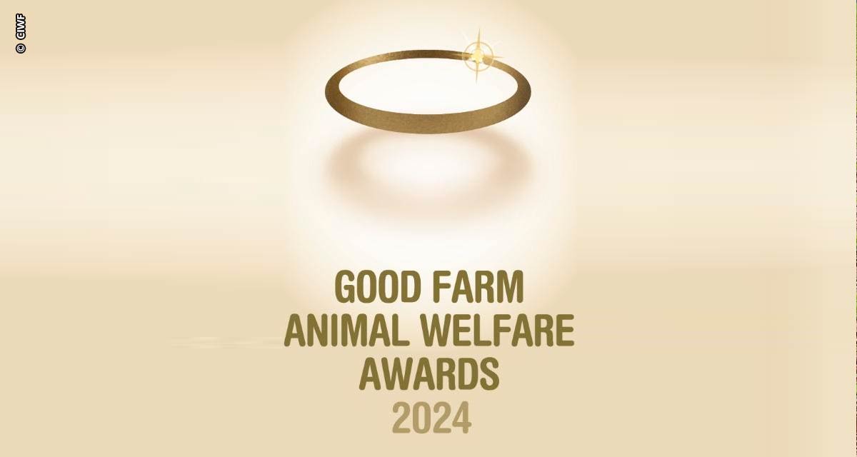 Compassion in World Farming estende prazo de inscrições para o prêmio Good Farm Animal Welfare Awards 2024 para as categorias de espécies animais
