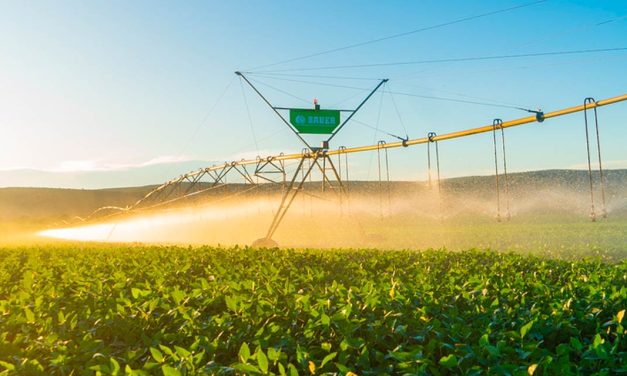 Coopercitrus Expo 2024: soluções personalizadas em irrigação