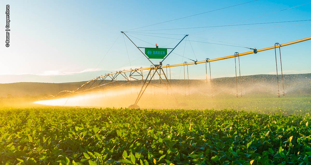 Coopercitrus Expo 2024: soluções personalizadas em irrigação