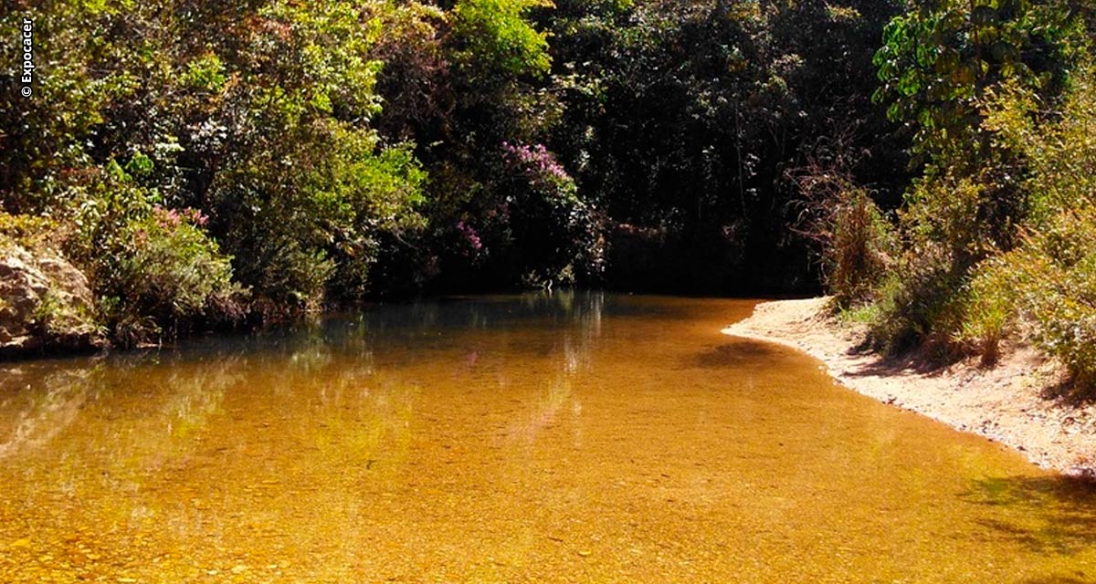 Cafeicultura: Projeto de agricultura inteligente aponta economia de 30% de água nas lavouras