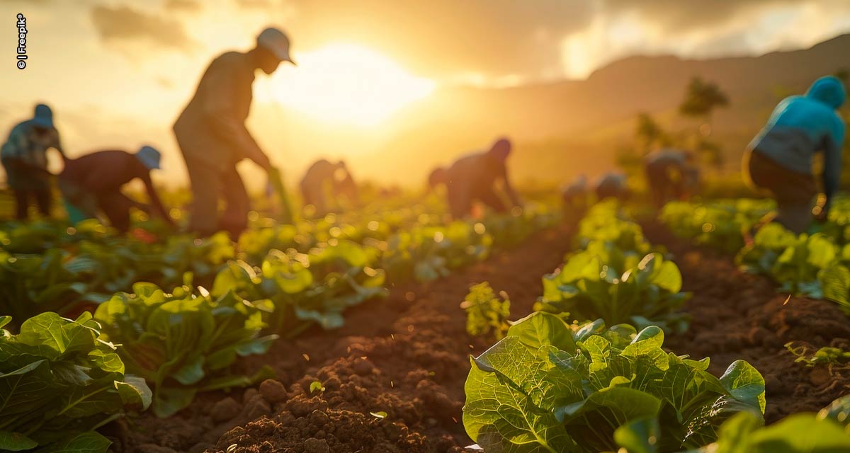 Agropecuária brasileira cria mais de 19,8 mil novos empregos em maio