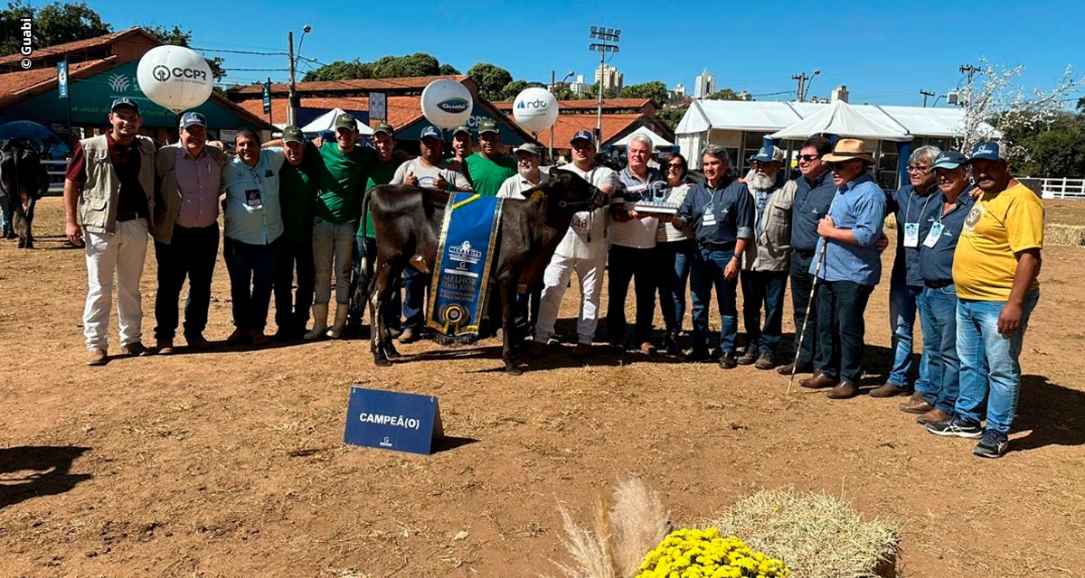 Qual é o segredo para uma fazenda leiteira premiada?