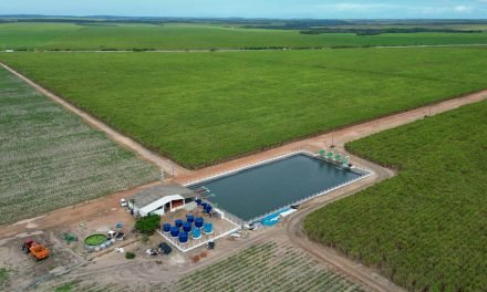 Irrigação por gotejamento Netafim impulsiona sucesso da Estreito Agropecuária na produção de cana-de-açúcar