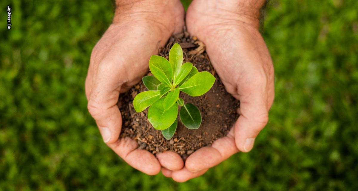 Tecnologias impulsionam práticas ESG no agronegócio brasileiro