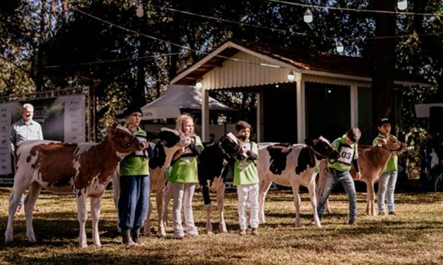 Clube de Bezerras e soluções para a pecuária leiteira são os destaques da Trouw Nutrition, na Expoleite 2024