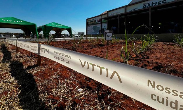 Vittia leva tecnologia biológica para a cultura da cana na Coopercitrus Expo 2024