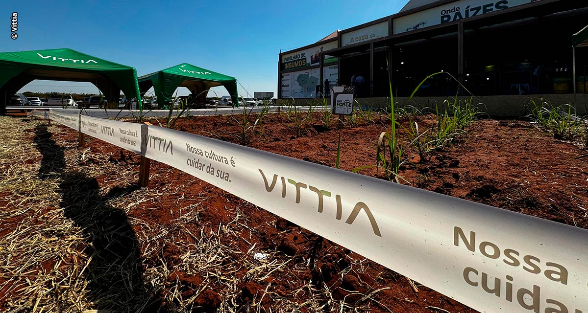 Vittia leva tecnologia biológica para a cultura da cana na Coopercitrus Expo 2024