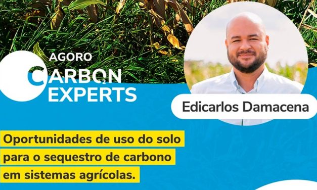 Terceiro encontro do projeto Agoro Carbon Experts aborda sequestro de carbono em sistemas agrícolas