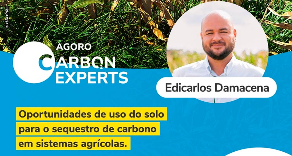 Terceiro encontro do projeto Agoro Carbon Experts aborda sequestro de carbono em sistemas agrícolas