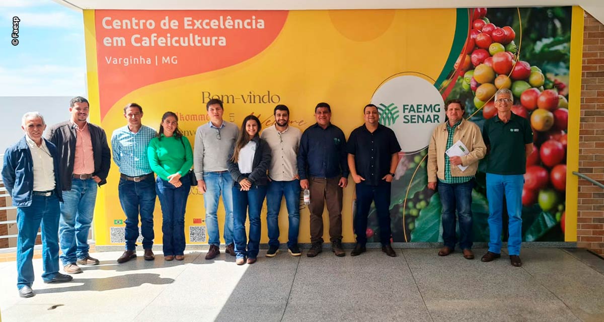 Comissão Técnica de Cafeicultura realiza encontro no Centro de Excelência em Varginha