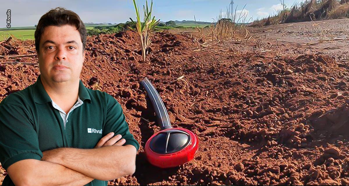 Irrigação por gotejamento pode dobrar a produção do canavial