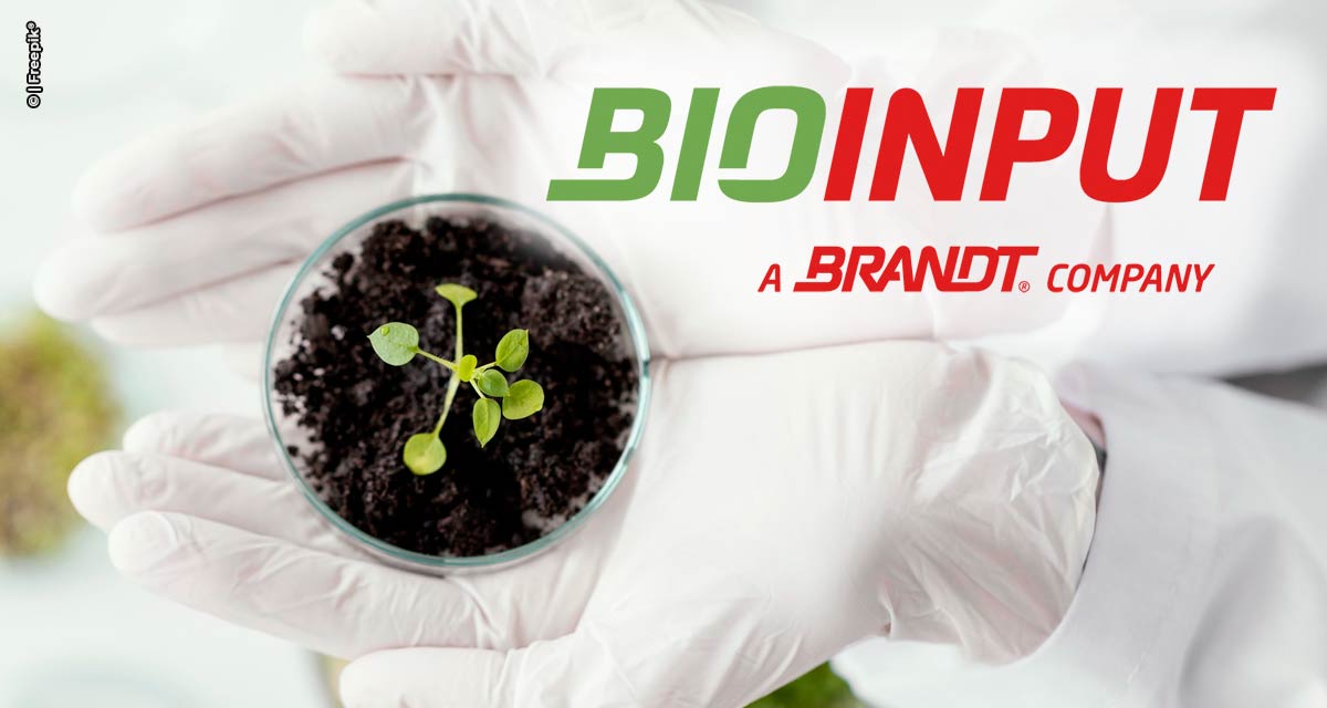 De AgBio para BioInput: a nova marca de inovação da BRANDT Brasil