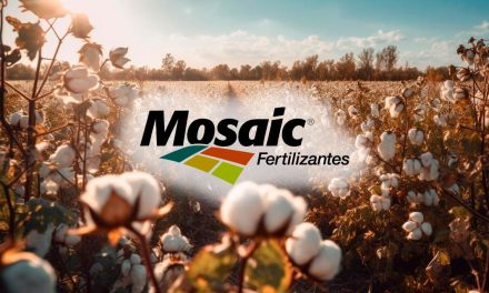 Fertilizantes da Mosaic com tecnologia multinutrientes serão destaques no 14º Congresso Brasileiro do Algodão