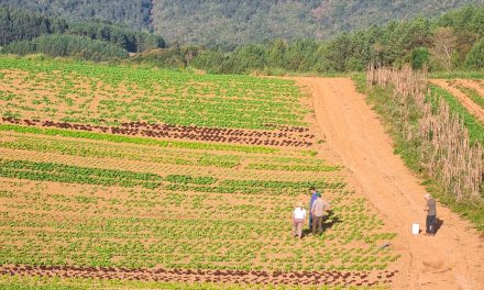 Projeto capacita agricultores familiares no Vale do Ribeira e na Região Metropolitana de Curitiba