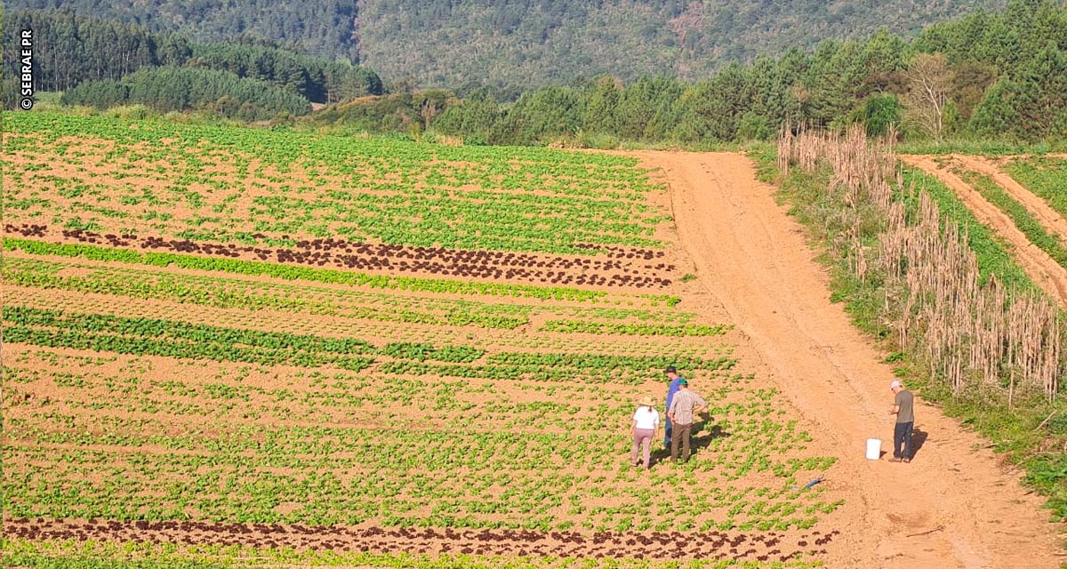 Projeto capacita agricultores familiares no Vale do Ribeira e na Região Metropolitana de Curitiba