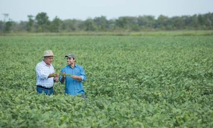 Tecnologia da Syngenta é reconhecida como sinônimo de inovação e eficácia no controle de percevejos