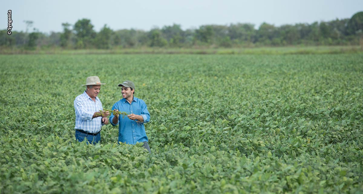 Tecnologia da Syngenta é reconhecida como sinônimo de inovação e eficácia no controle de percevejos