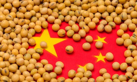 Faesp Informa: China investe em plano quinquenal para aumentar produção agrícola