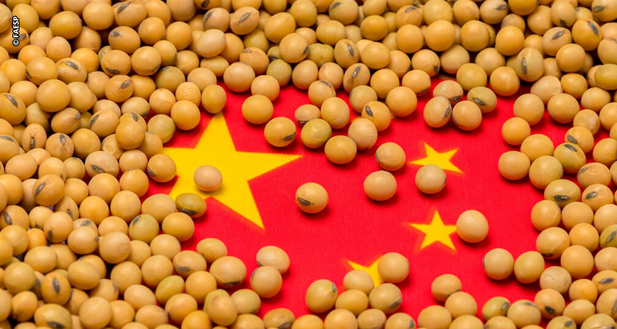 Faesp Informa: China investe em plano quinquenal para aumentar produção agrícola