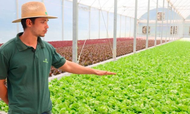 Dia do Engenheiro Agrônomo: o inovar da profissão é possível e necessário