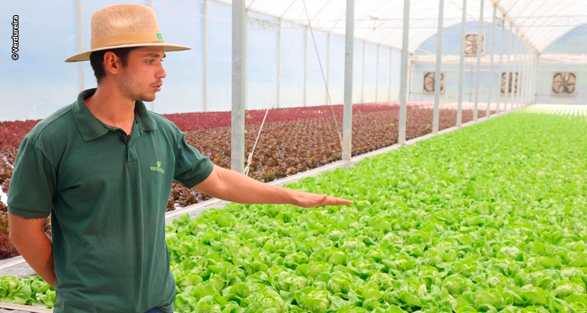 Dia do Engenheiro Agrônomo: o inovar da profissão é possível e necessário