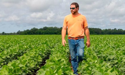 Norte-americano recordista mundial em produtividade de soja adota estratégias intensivas de nutrição na lavoura