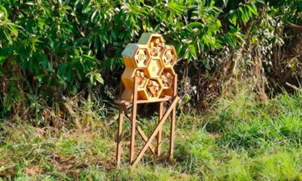 Frutas Katira é referência em sustentabilidade no campo