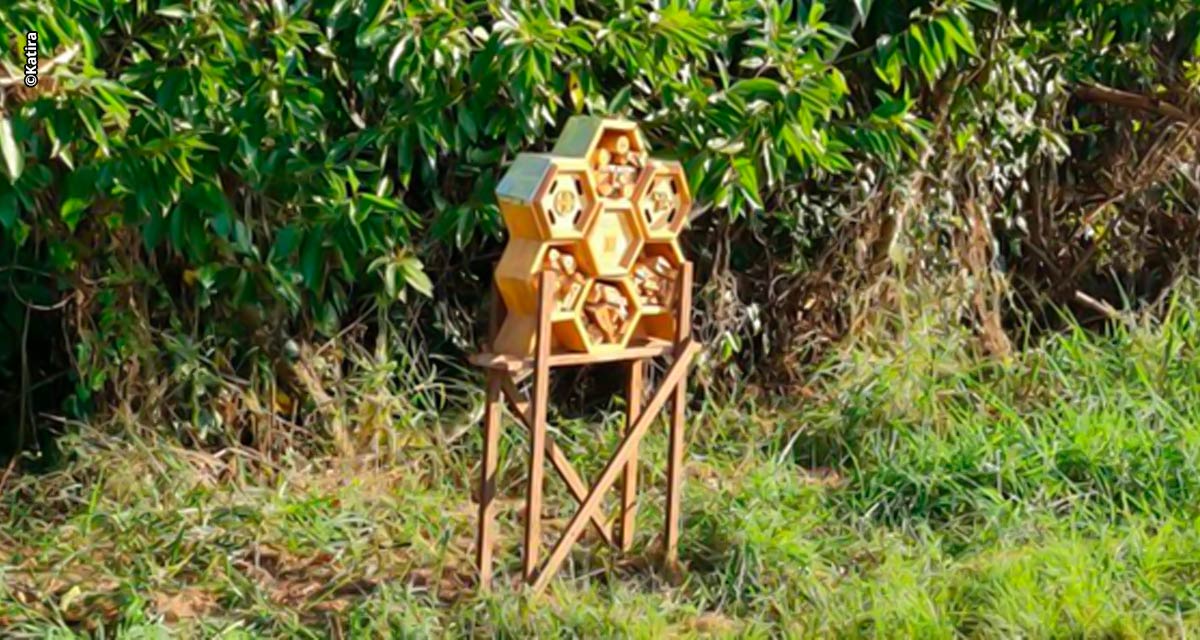 Frutas Katira é referência em sustentabilidade no campo