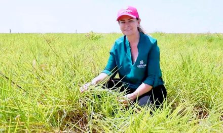 Valorização do microbioma do solo: a aposta sustentável dos agricultores brasileiros