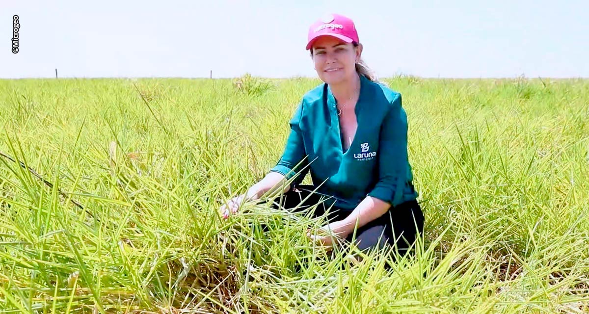 Valorização do microbioma do solo: a aposta sustentável dos agricultores brasileiros