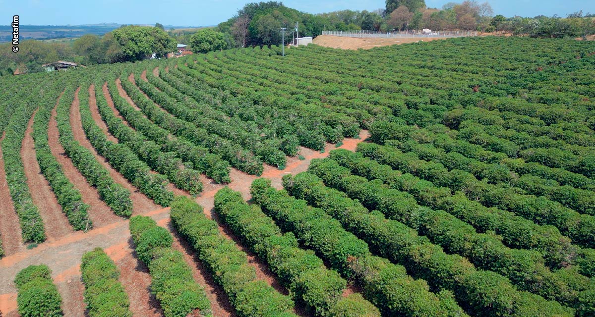 Com projeção de quebra de safra e déficit hídrico histórico, irrigação é a estratégia para boas produções de café arábica em 2025