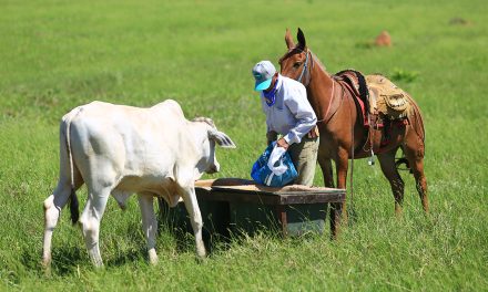 Como o manejo do cocho pode otimizar a nutrição e aumentar a lucratividade da fazenda?