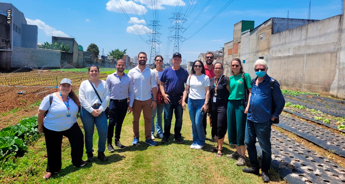 Projeto Horta em Rede promove diálogo entre governo, sociedade e agricultores sobre desafios e avanços da agricultura urbana