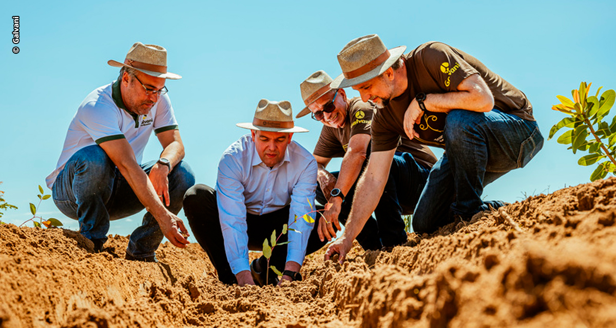 Galvani investe em energia verde para um futuro sustentável