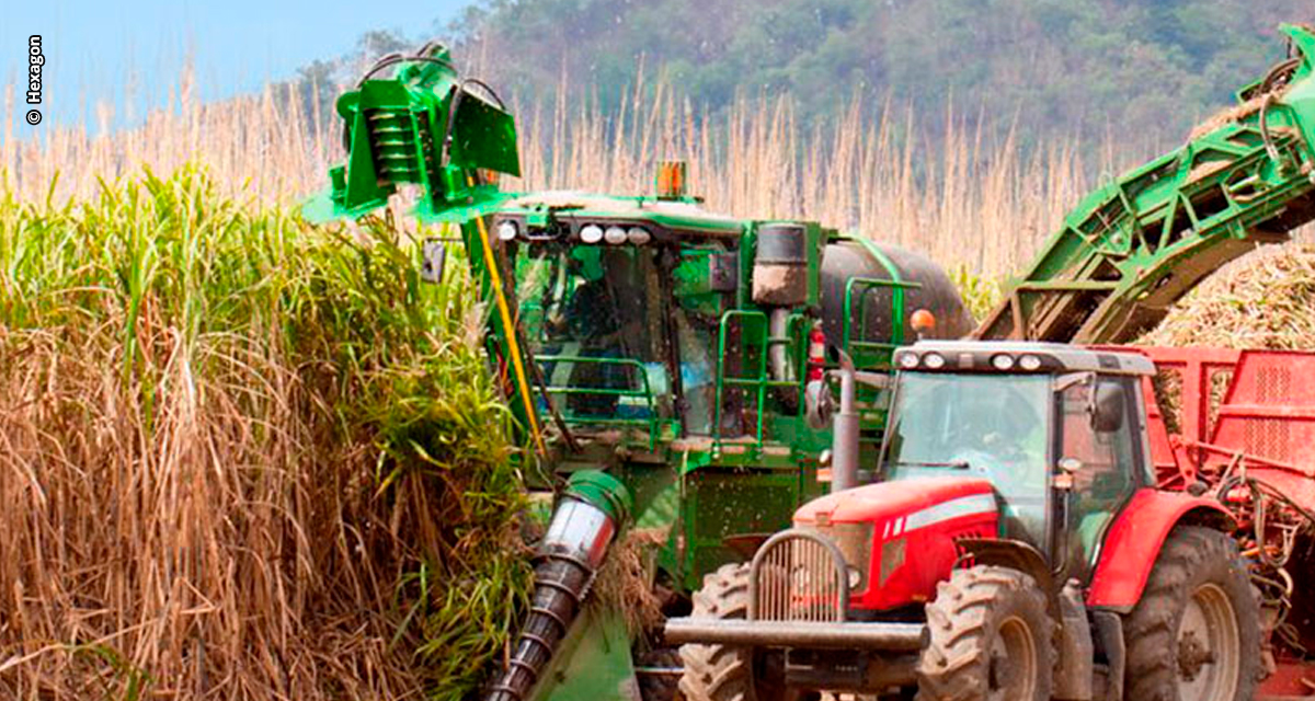 Combustível do Futuro deve aumentar demanda de produção de cana-de-açúcar no Brasil